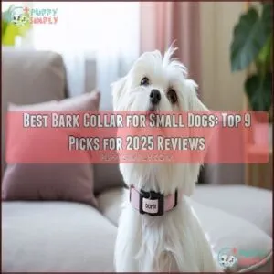 best bark collar for small dogs