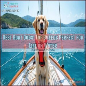 best boat dogs
