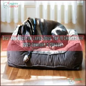 best dog beds for large dogs