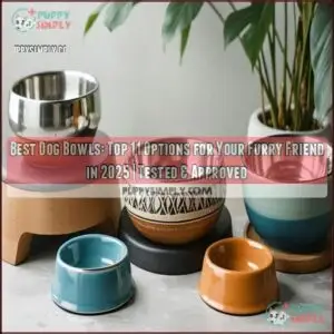 best dog bowls