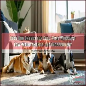 best dog breeds for full time workers