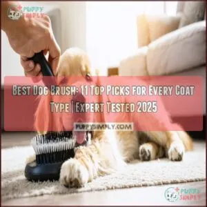 best dog brush