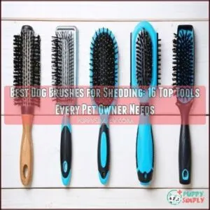 best dog brushes for shedding