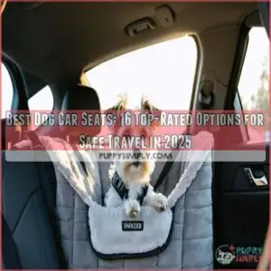 best dog car seats
