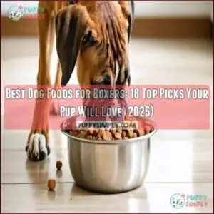 best dog foods for boxers