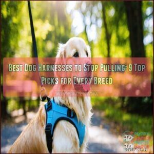 best dog harnesses to stop pulling
