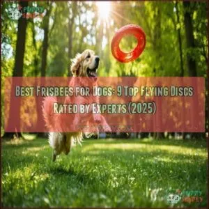 best frisbees for dogs