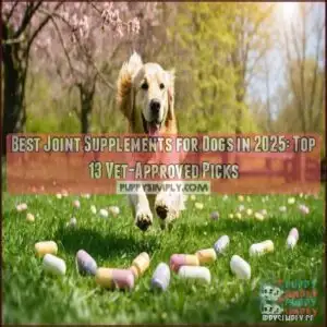 best joint supplements for dogs