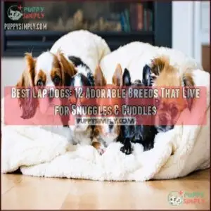 best lap dogs
