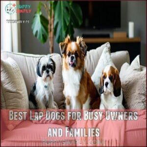 Best Lap Dogs for Busy Owners and Families