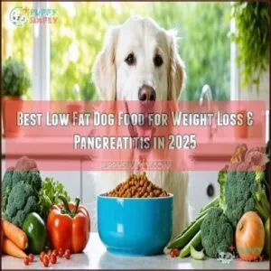 best low fat dog food