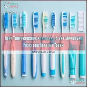 best toothbrushes for dogs