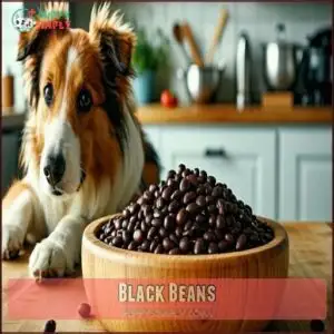 Black Beans