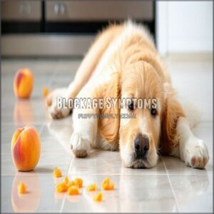 blockage symptoms
