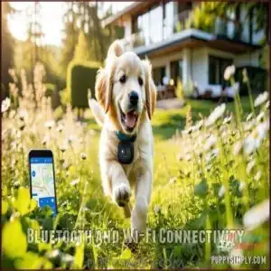 Bluetooth and Wi-Fi Connectivity