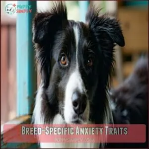 Breed-Specific Anxiety Traits