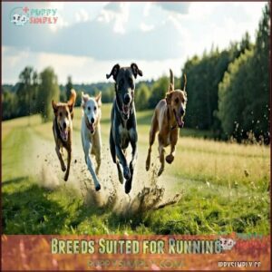 Breeds Suited for Running
