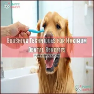 Brushing Techniques for Maximum Dental Benefits