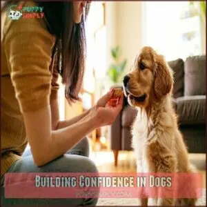 Building Confidence in Dogs