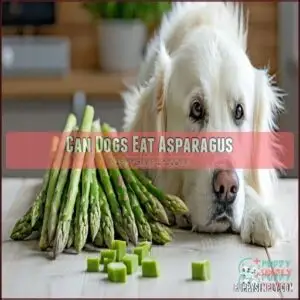 Can Dogs Eat Asparagus
