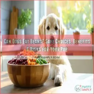 can dogs eat beans