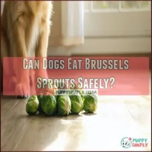 can dogs eat brussel sprouts
