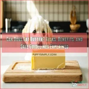 can dogs eat butter