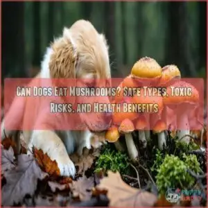 can dogs eat mushrooms