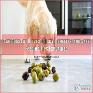can dogs eat olives