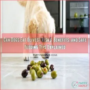 can dogs eat olives