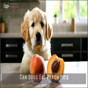 can dogs eat peach pits