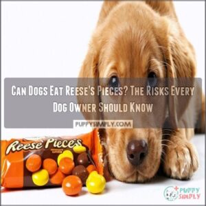 can dogs eat reeses pieces can dogs eat reeses pieces