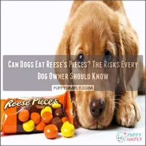 can dogs eat reeses pieces
