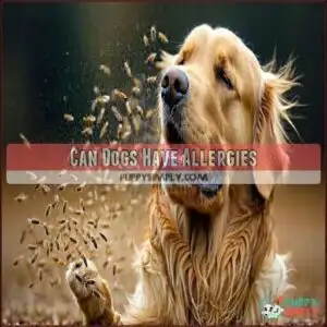 Can Dogs Have Allergies