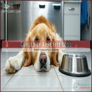 Causes of Appetite Loss