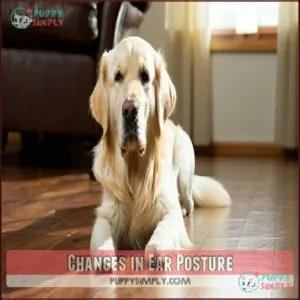 Changes in Ear Posture