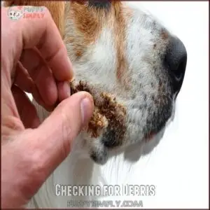 Checking for Debris