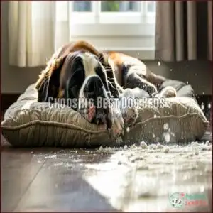 Choosing Best Dog Beds