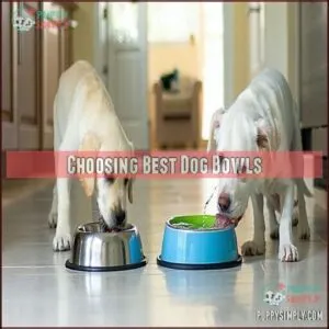Choosing Best Dog Bowls