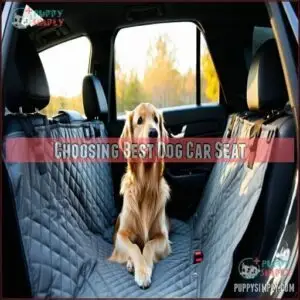 Choosing Best Dog Car Seat