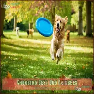 Choosing Best Dog Frisbees