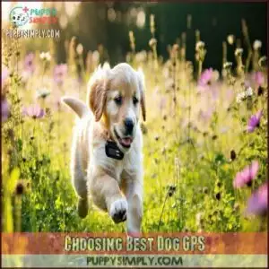 Choosing Best Dog GPS