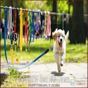 Choosing Best Dog Leash