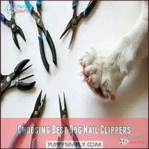 Choosing Best Dog Nail Clippers