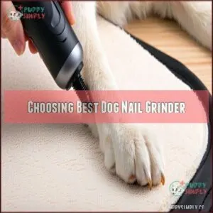 Choosing Best Dog Nail Grinder
