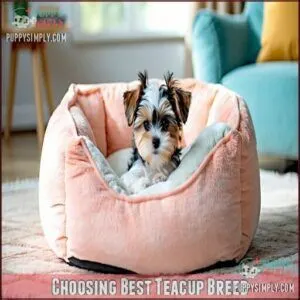 Choosing Best Teacup Breed
