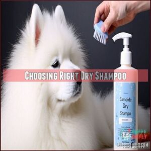 Choosing Right Dry Shampoo