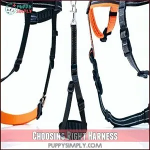 Choosing Right Harness