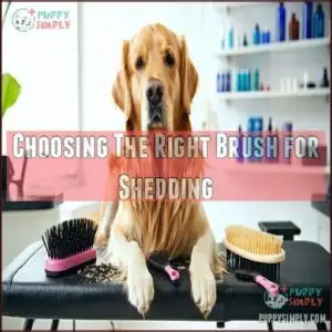 Choosing The Right Brush for Shedding