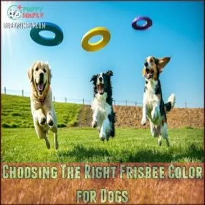 Choosing The Right Frisbee Color for Dogs
